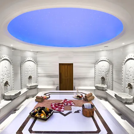 酒店 Elysium Termal Yalova