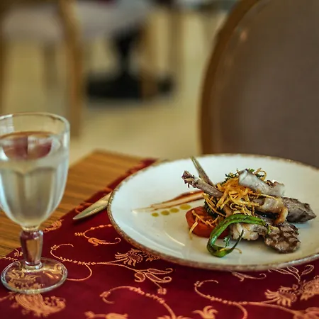 Elysium Termal Yalova 酒店 4*