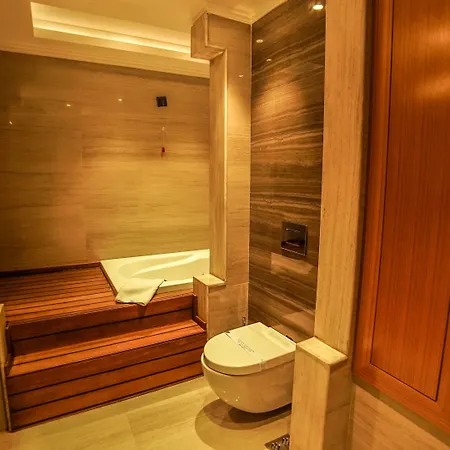 酒店 Elysium Termal Yalova 4*