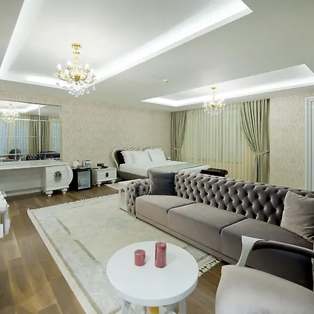 酒店 Elysium Termal Yalova 4*